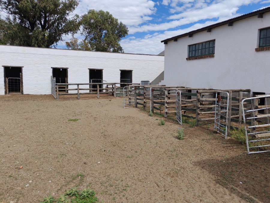 4 Bedroom Property for Sale in Steynsburg Eastern Cape